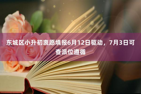 东城区小升初衷愿填报6月12日驱动，7月3日可查派位遵循