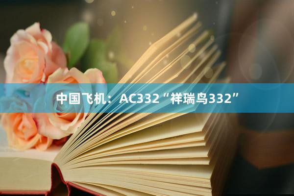 中国飞机：AC332“祥瑞鸟332”