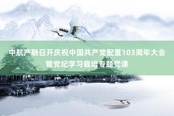 中航产融召开庆祝中国共产党配置103周年大会暨党纪学习栽培专题党课