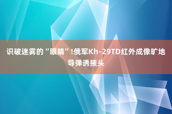 识破迷雾的“眼睛”!俄军Kh-29TD红外成像旷地导弹诱掖头