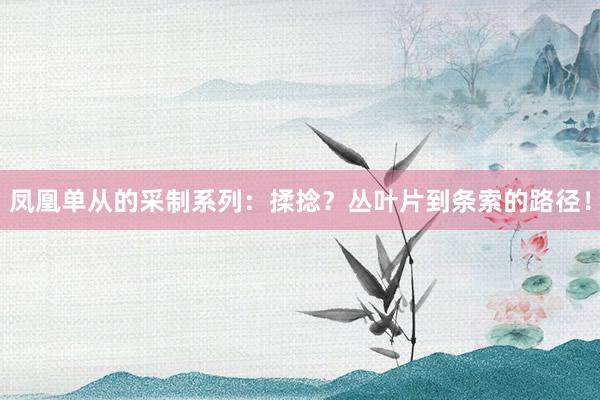 凤凰单从的采制系列：揉捻？丛叶片到条索的路径！